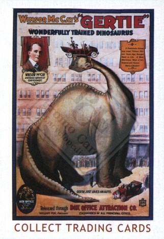 COLLECT TRADING CARDS
