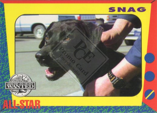 AMERICA’S MOST WANTED ALL-STAR
