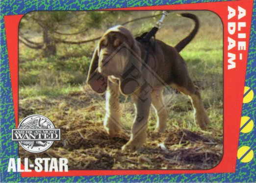 AMERICA’S MOST WANTED ALL-STAR
