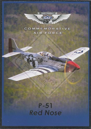 COMMEMORATIVE AIR FORCE [2021]