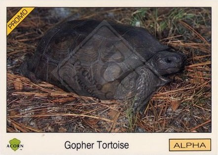 BIOSPHERE [not released]