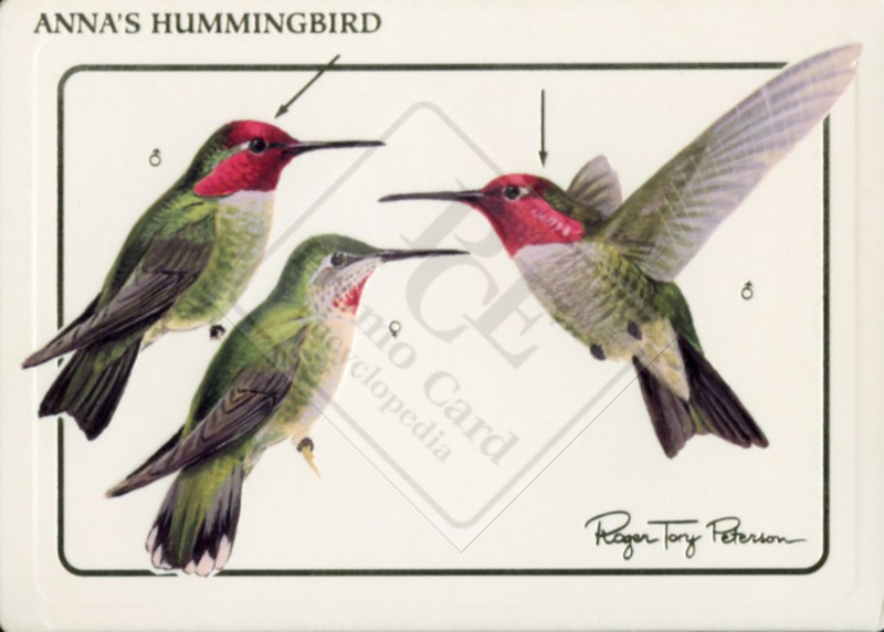 BIRD CARDS OF ROGER TORY PETERSON