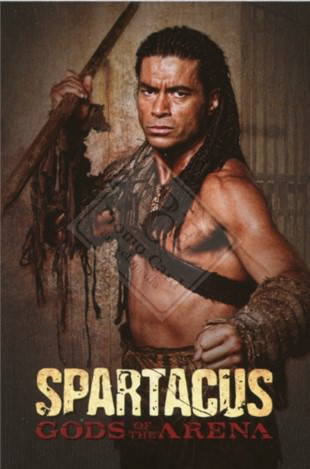 SPARTACUS – GODS OF THE ARENA