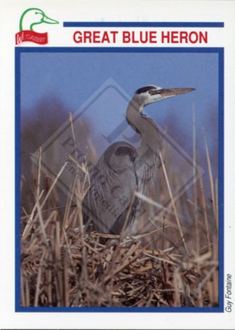 DUCKS UNLIMITED CANADA – WETLANDERS SERIES