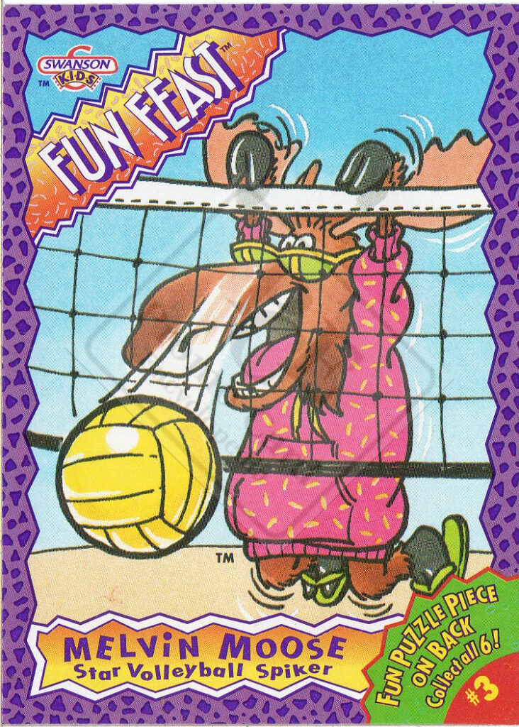 FUN FEAST FUN PUZZLE SERIES 2