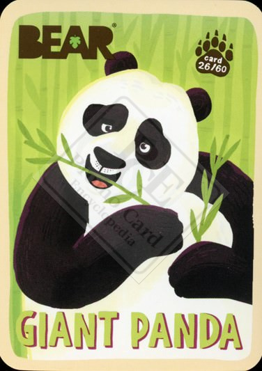 AMAZING ANIMALS a.k.a. BEAR’S AMAZING ANIMALS