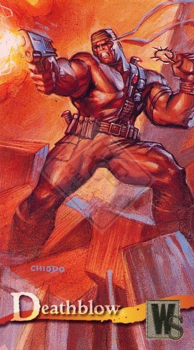 WILDSTORM GALLERY [comic insert]