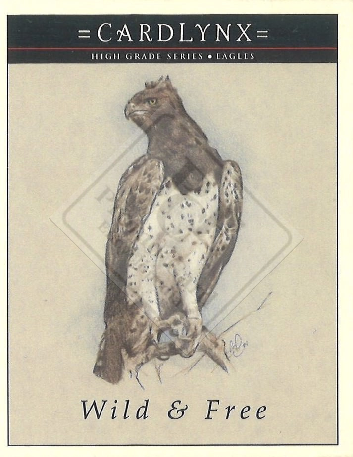 CARDLYNX