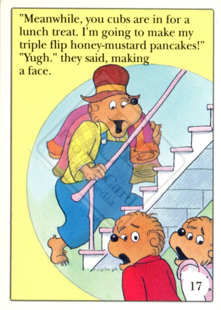 BERENSTAIN BEARS