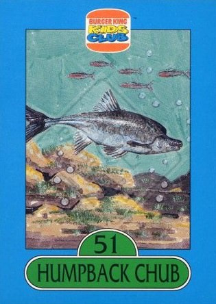 BURGER KING KID’S CLUB – SAVE THE ANIMALS [Album 4: Fish]