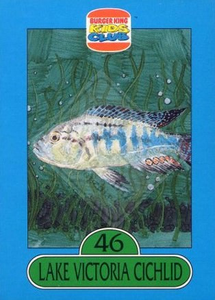 BURGER KING KID’S CLUB – SAVE THE ANIMALS [Album 4: Fish]