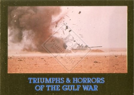 TRIUMPHS & HORRORS OF THE GULF WAR