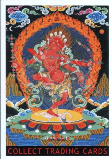 COLLECT TRADING CARDS