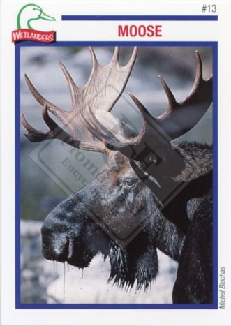 DUCKS UNLIMITED CANADA – WETLANDERS SERIES