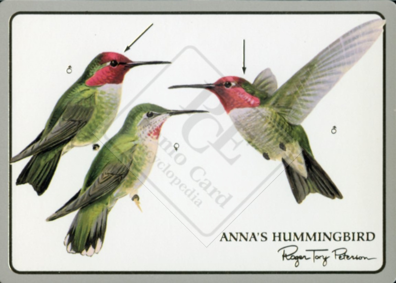 BIRD CARDS OF ROGER TORY PETERSON