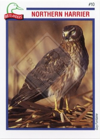 DUCKS UNLIMITED CANADA – WETLANDERS SERIES