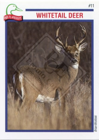 DUCKS UNLIMITED CANADA – WETLANDERS SERIES