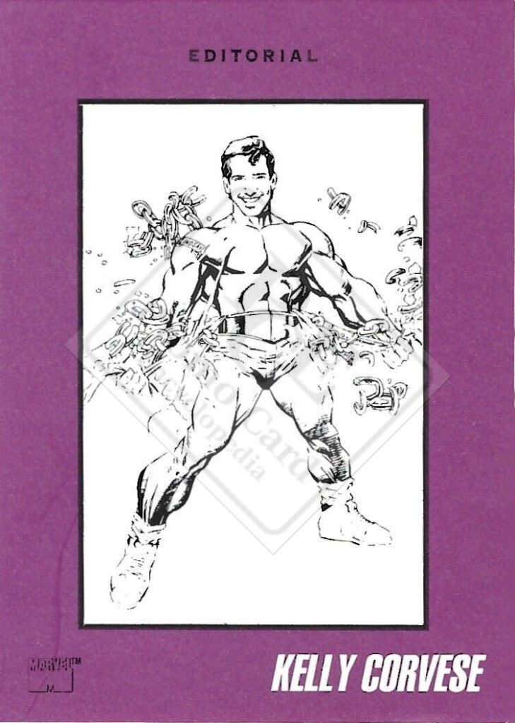 MARVEL COMICS STAFF CARDS 1992