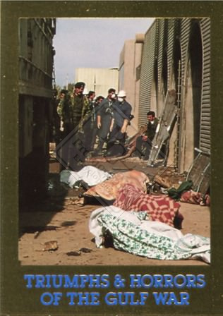 TRIUMPHS & HORRORS OF THE GULF WAR