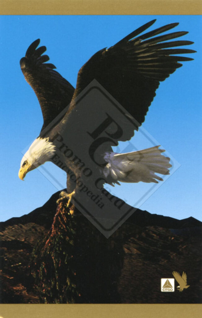 AMERICAN BALD EAGLE