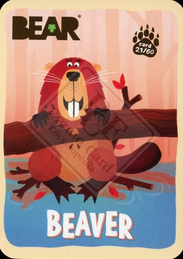 AMAZING ANIMALS a.k.a. BEAR’S AMAZING ANIMALS