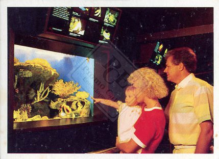 WONDERFUL WORLD OF SEA WORLD