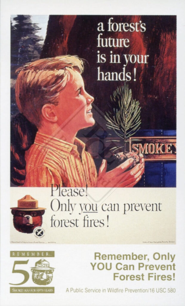 SMOKEY BEAR 50TH ANNIVERSARY