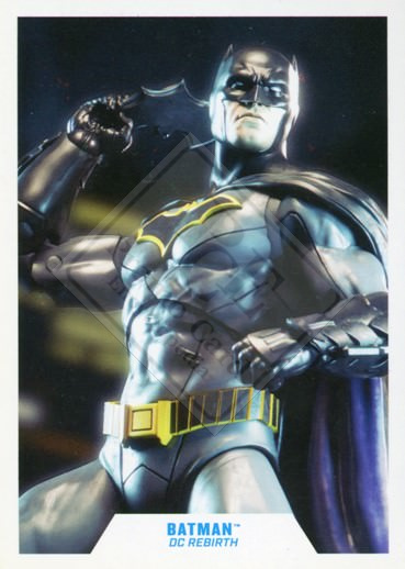 DC MULTIVERSE [2022]