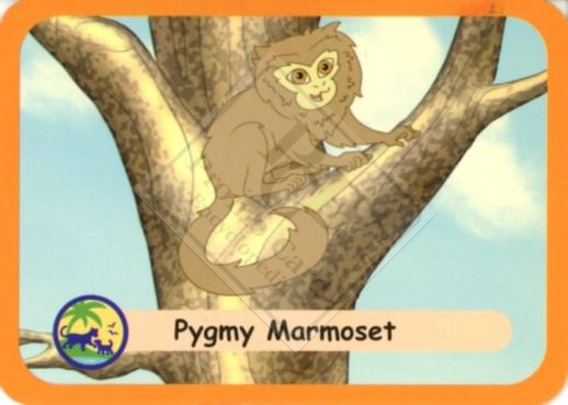 GO DIEGO GO – GIANT GRO