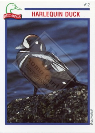 DUCKS UNLIMITED CANADA – WETLANDERS SERIES