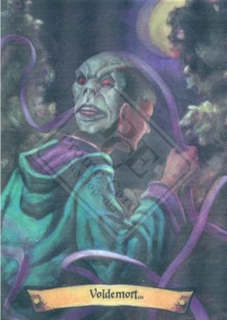 HARRY POTTER CHOCOLATE FROG CARDS (2ND SERIES) [2004- U.S.]