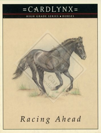CARDLYNX