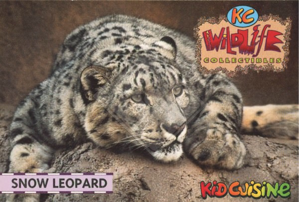 WILDLIFE COLLECTIBLES