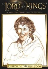 LORD OF THE RINGS – THE FELLOWSHIP OF THE RING [Vivendi Games]