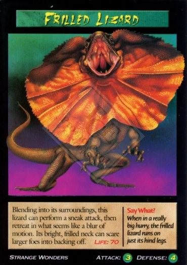 WEIRD N’ WILD CREATURES