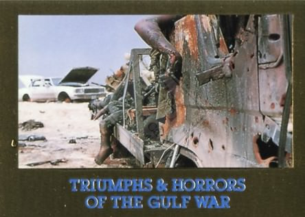 TRIUMPHS & HORRORS OF THE GULF WAR