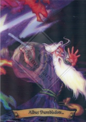 HARRY POTTER CHOCOLATE FROG CARDS (2ND SERIES) [2004- U.S.]