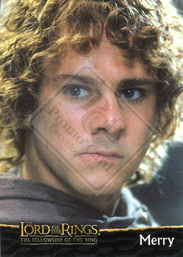 LORD OF THE RINGS – THE FELLOWSHIP OF THE RING [Cadbury]
