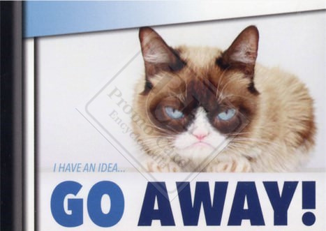 GRUMPY CAT